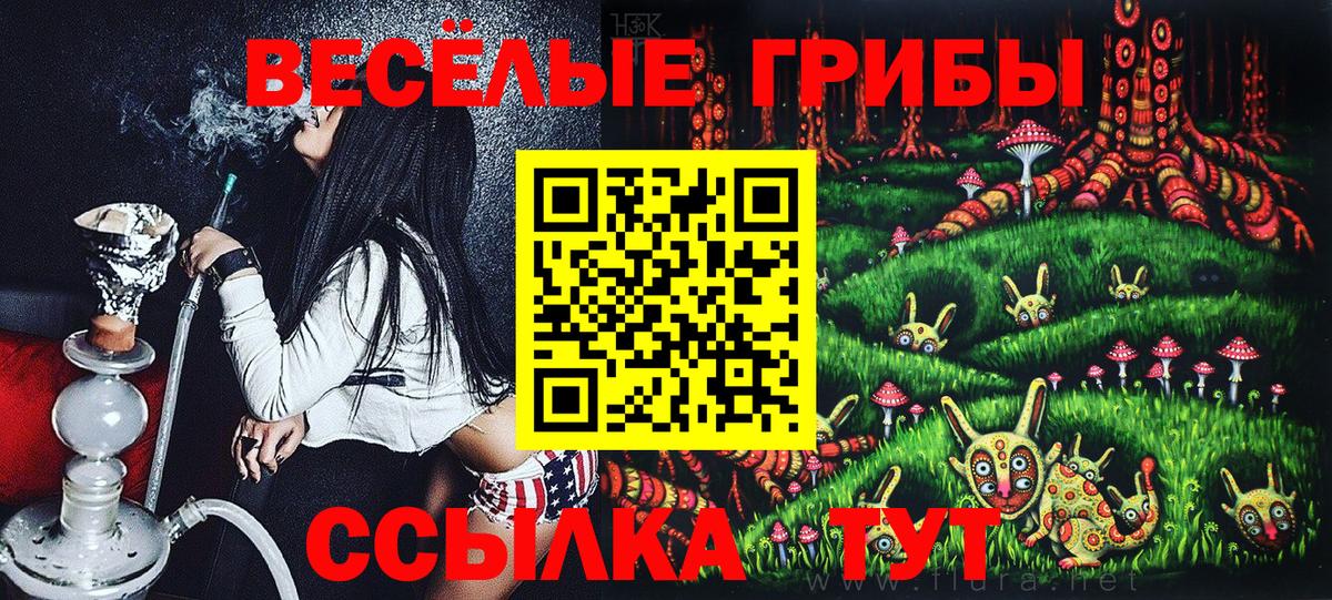 Псилоцибиновые грибы GOLDEN TEACHER  Вход с VPN  Когалым  Галлюциногенные грибы MAGIC MUSHROOMS 